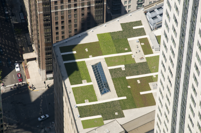 NYC green roof system