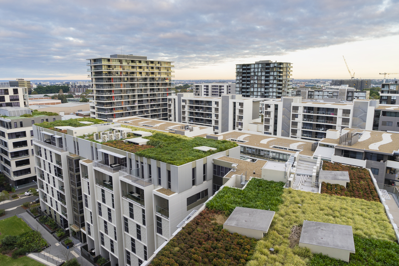 what is a green roof